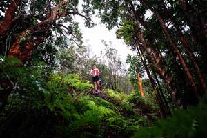 BIB: 
                            <button type="button" onclick="openModal(26202806)" class="btn btn-primary btn-sm float-right btn-popup" data-toggle="modal" data-target=".modal-high-quality">
                        <i class="fas fa-shopping-cart"></i> Add to Cart
                    </button>
                                            <button type="button" onclick="isThisMe(26202806, true)" class="btn btn-success btn-sm float-right btn-popup btn-isme hidden" data-toggle="tooltip" data-placement="bottom" title="นี่คือรูปของคุณใช่ไหม คลิกที่นี่เพื่อเอาเข้าอัลบั้ม">
                        <i class="fas fa-plus"></i> Add to album
                    </button>
                    <button type="button" onclick="isThisMe(26202806, false)" class="btn btn-warning btn-sm float-right btn-popup btn-isnotme hidden">
                        <i class="fas fa-ban"></i> Remove from album
                    </button>